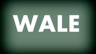 Wale - Black Grammys (feat. J.Cole) New Songtipp Lyrics Review 2013