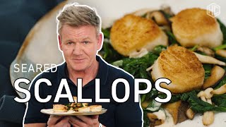 Gordon Ramsay Makes Seared Scallops | Cooking With Gordon | HexClad