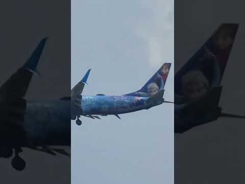 Walt Disney Frozen Livery  B737 WestJet Airplane Landing