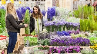 New Covent Garden Flower Market - Behind Every Great Florist