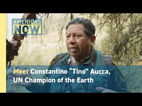 Meet the Peruvian Environmentalist Named UN “Champion of the Earth” | UNGA 80