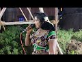 Dhanam Songs Short Shortsfeet Shortvideo Jikko2