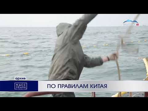 По правилам Китая | Новости Камчатки | Происшествия | Масс Медиа
