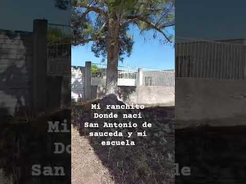 San Antonio de Sauceda y la escuela primaria