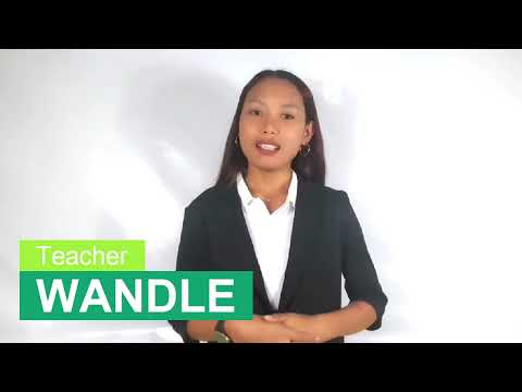 Wandleのプロフィール動画