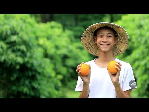 ¿Qué es la Agroecología? La agricultura que cuida el planeta