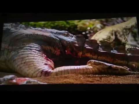 Prehistoric planet Dawn of the dinosaurs part 4