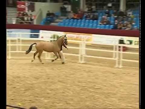 Sergeant Pepper x Atom x Kosmos