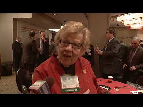 Walk To Washington 2019