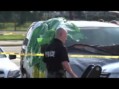 Child In Car Charges