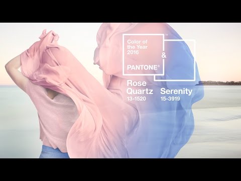 Tông màu của năm 2016 Rose Quartz & Serenity - ZinKen