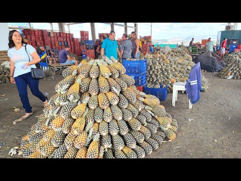 Pineapple for 0.50 at CEACA in Caruaru-PE