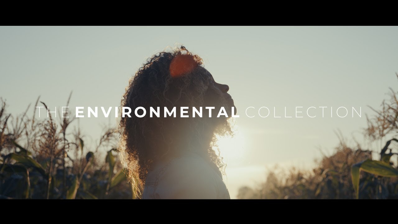 THE ENVIRONMENTAL COLLECTION