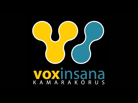 Vox Insana - 2010-2020 (Góbéfest video)
