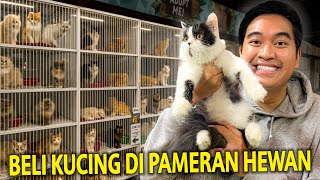 Download lagu BELI KUCING DI PAMERAN HEWAN! KITA CARI YANG PALING MENARIK BUAT DIPELIHARA! ADA KUCING SULTAN! mp3 Download lagu BELI KUCING DI PAMERAN HEWAN! KITA CARI YANG PALING MENARIK BUAT DIPELIHARA! ADA KUCING SULTAN! mp3
