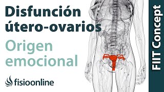 Origen emocional de la disfunción de útero- ovarios.