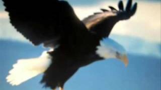 Vuela Agüila - Tercer Cielo