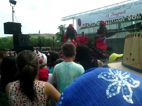 Comuna Voinesti jud iasi 1