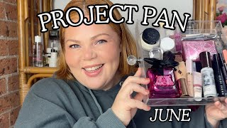 Project Pan 2025 Update 5- June 2025