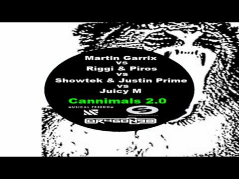 Martin Garrix vs. Riggi & Piros vs. Showtek vs. Juicy M - Cannimals 2.0 (Dr4g0n98 Bootleg)
