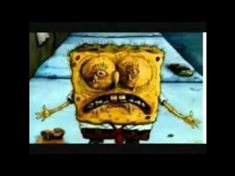 DUSTSPONGESWAPSPIN/DUSTSPONGESPINSWAP - THE BIBULAZER