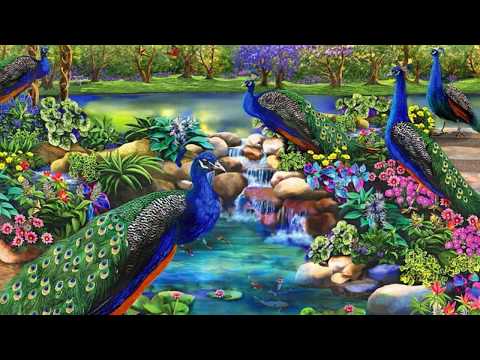 Bert van der Bourg Das Tal der 1000 Blumen