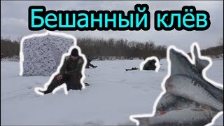 Рыбалка на реке иня зимняя