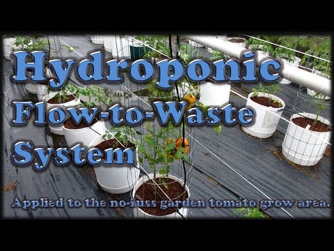 , title : 'Hydroponic Flow-to-Waste in New No-Fuss Tomato Garden'