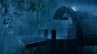Highly Recommend for Insomnia Relief | Natural Heavy Rain on Tin Roof of Farmhouse & Loud Thunder
