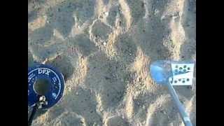 preview picture of video 'METAL DETECTING sandy point state park with my Whites DFX'