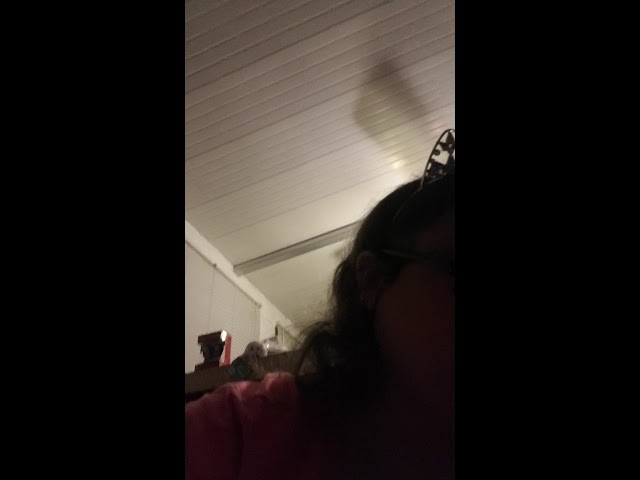 Vídeo relacionado con Josh & Hazel: guía de fracasos amorosos