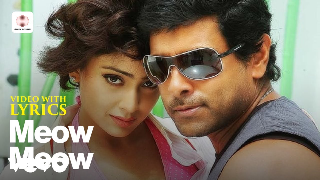 Kanthaswamy - Meow Meow Video with Lyrics | Vikram, Shreya | Devi Sri Prasad
