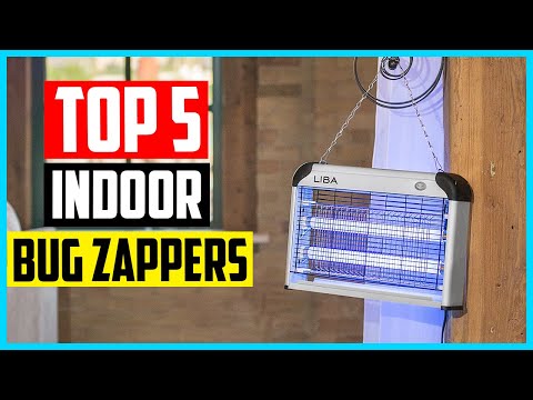Top 5 Best Indoor Bug Zappers in 2021 – Reviews