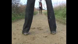 Trigger Finger: A short Film by James Court