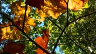 September Song - Willie Nelson