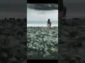 Thavam Pol Irunthu Yosikiren Whatsapp Status