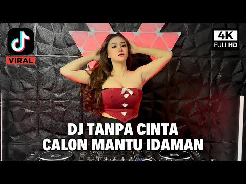 DJ TANPA CINTA X CALON MANTU IDAMAN REMIX FULL BASS VIRAL TIKTOK TERBARU 2025 DJ BIDDY