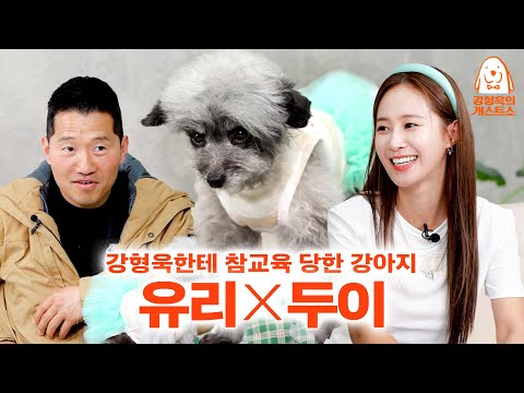 소녀시대 유리네집 서열 1위 등판. 근데 강형욱한테 참교육 당하고 감. [강형욱의개스트쇼] EP.10