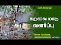 கறவை மாடு வளர்ப்பு Successful Farmer Story