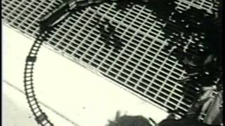 The Magnetic Fields - Born on a Train