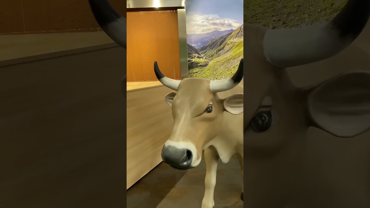 YouTube Short thumbnail