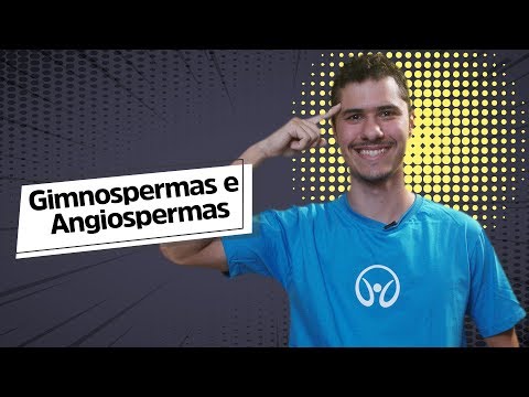 Gimnospermas e Angiospermas: Introdução à Botânica - Brasil Escola