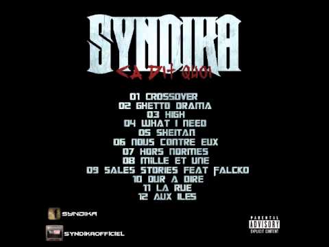 Syndika - What i need