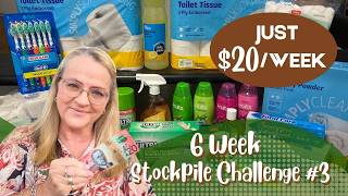 Stockpile Challenge #3 | Everyday Household Essentials | Mum of 16 Kids