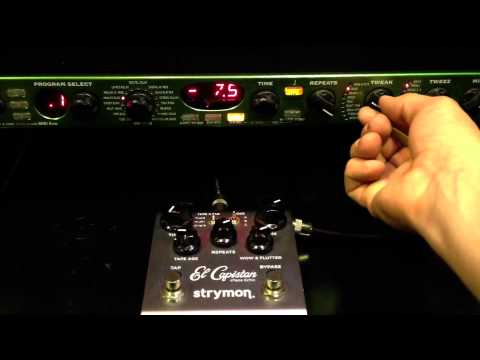 Strymon El Capistan vs Line 6 Echo Pro