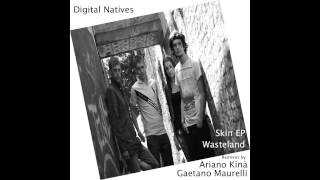 Digital Natives Skin EP Wasteland Remix by Ariano Kina'