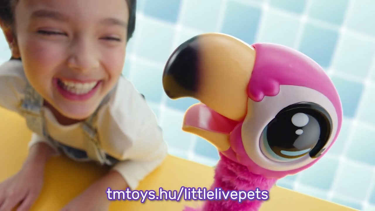 Little Live Pets: Potyi a flamingó videó