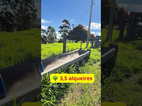 3,5 ALQUEIRES À VENDA EM JOAQUIM TÁVORA PR 🌳 | SÍTIO COM CASA, 3 AÇUDES E POÇO ARTESIANO
