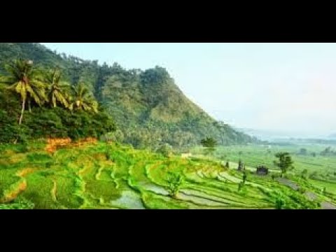 KJ 337 - BETAPA KITA TIDAK BERSYUKUR