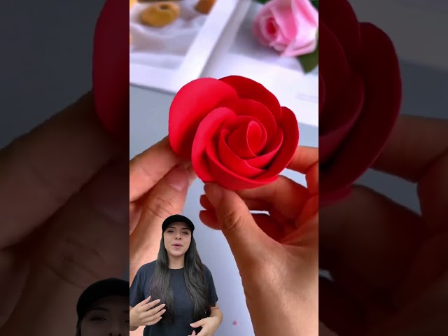 Vídeo relacionado con Play-Doh Hasbro Jardín, Juguetes de Jardinería para Niños y Niñas de 3 Años o Más, Manualidades Creativas, Idea de Regalo, Maceta con Flores, Margarita y Rosas
